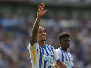 Chelsea dan Brighton Sepakati Transfer Joao Pedro