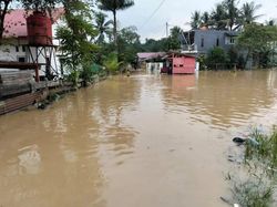 176 Kepala Keluarga di Kendari Terdampak Banjir Imbas Sungai Wanggu Meluap