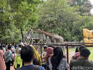 KBS Diserbu 48 Ribu Wisatawan Saat Libur Panjang Tahun Baru Islam KBS Diserbu 48 Ribu Wisatawan Saat Libur Panjang Tahun Baru Islam