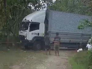 Truk Boks Tersesat di Hutan Trembes Blora gegara Google Maps Truk Boks Tersesat di Hutan Trembes Blora gegara Google Maps