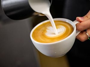 Ini Bedanya Kopi yang Dibuat Pakai Susu Rendah Lemak dan Full Lemak Ini Bedanya Kopi yang Dibuat Pakai Susu Rendah Lemak dan Full Lemak