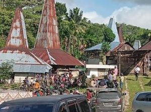 Petani di Sumba Barat Daya Tewas Dibacok gegara Daun Kelapa Petani di Sumba Barat Daya Tewas Dibacok gegara Daun Kelapa