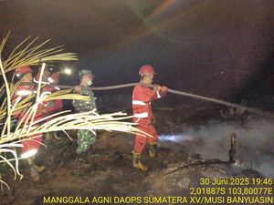 Kebun Kelapa Sawit di Muba Terbakar, Api Belum Padam