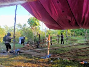 Arena Sabung Ayam di Tarakan Digerebek, 11 Ekor Ayam Disita Arena Sabung Ayam di Tarakan Digerebek, 11 Ekor Ayam Disita