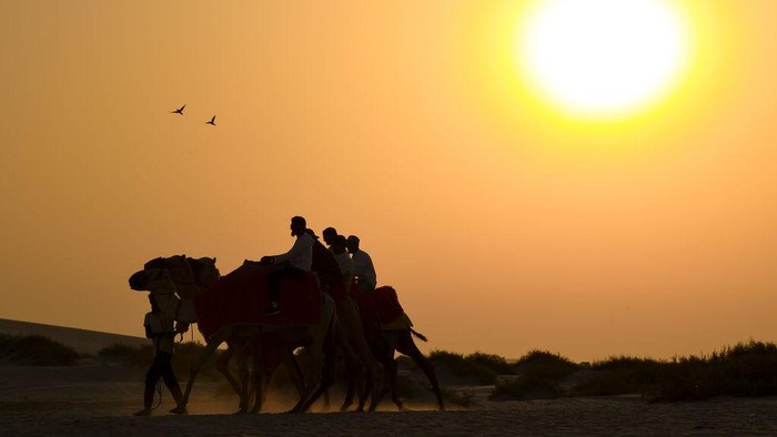 10 Negara dengan Suhu Paling Panas di Dunia People are riding camels on the dunes at the Sealine Beach during the celebration of the second day of the Eid Al-Adha festival in Mesaieed, Qatar, on June 17, 2024. (Photo by Noushad Thekkayil/NurPhoto via Getty Images)