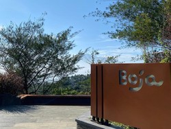 Tempat Asyik Buat Healing dan Detox Digital di Bogor