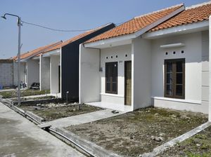 Sempat Sebut Tak Layak, Pengembang Happy Wacana Rumah 18 Meter Batal! Sempat Sebut Tak Layak, Pengembang Happy Wacana Rumah 18 Meter Batal!