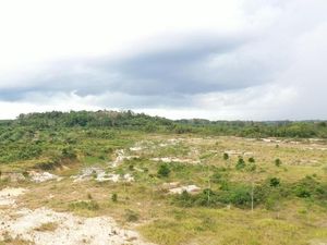 Ingat! Tanah Telantar 2 Tahun Ternyata Bisa Diambil Negara Ingat! Tanah Telantar 2 Tahun Ternyata Bisa Diambil Negara