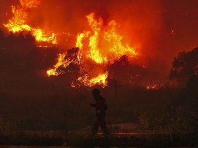 Kebakaran Hutan Landa Turki, 50.000 Warga Dievakuasi