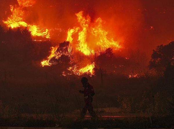 Kebakaran Hutan Landa Turki, 50.000 Warga Dievakuasi
