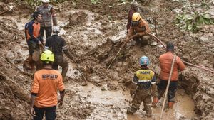 Tebing 250 Meter di Tasikmalaya Longsor, Dua Orang Petani Tertimbun