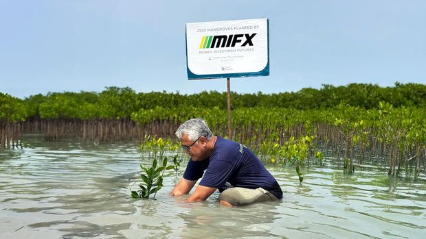MIFX
