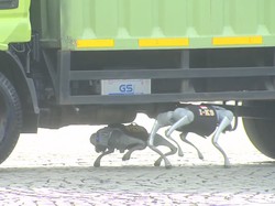 Robot K9 Polri Bisa Kayak Anjing Pelacak Beneran!