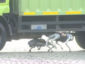 Robot K9 Polri Bisa Kayak Anjing Pelacak Beneran! Robot K9 Polri Bisa Kayak Anjing Pelacak Beneran!