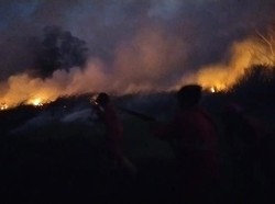 Lahan di Ogan Ilir Terbakar, Petugas Masih Lakukan Pemadaman