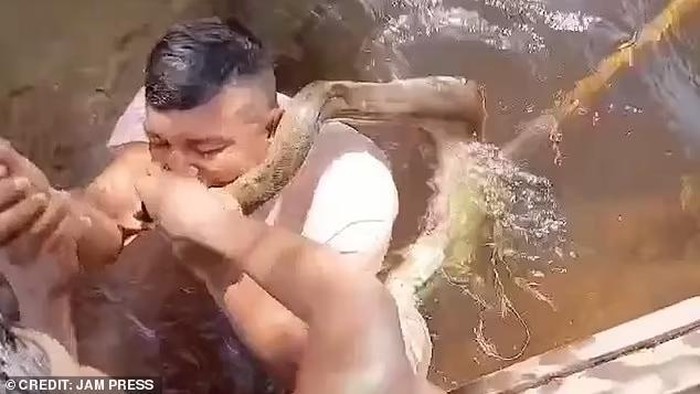 Pria Gigit Anaconda