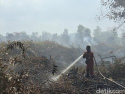 308 Ha Lahan di Riau Terbakar, Kampar dan Rohul Terluas
