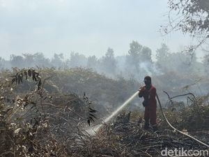 308 Ha Lahan di Riau Terbakar, Kampar dan Rohul Terluas 308 Ha Lahan di Riau Terbakar, Kampar dan Rohul Terluas