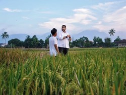Rajiv: Di Bawah Kepemimpinan Jenderal Listyo Sigit, Polisi Lebih Dekat Petani