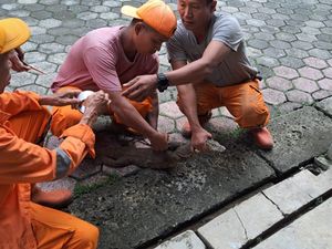 Pasukan Oranye Evakuasi Biawak 1,5 Meter di Jaksel, Pakai Cara Putar Lagu Pasukan Oranye Evakuasi Biawak 1,5 Meter di Jaksel, Pakai Cara Putar Lagu