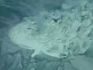 Harta Karun Tersembunyi Terus-terusan Menyembur dari Dalam Bumi