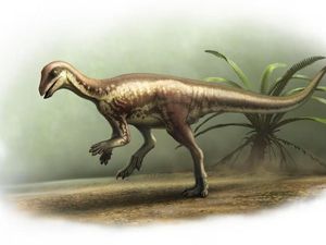 Penemuan Langka Spesies Baru Dinosaurus Sebesar Anjing Penemuan Langka Spesies Baru Dinosaurus Sebesar Anjing