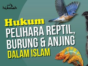 Hukum Memelihara Reptil, Burung dan Anjing dalam Islam Hukum Memelihara Reptil, Burung dan Anjing dalam Islam