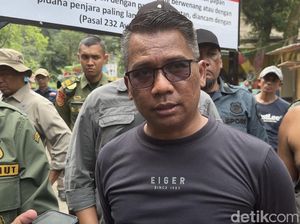 Seekor Bayi Harimau Sumatera Mati di Taman Margasatwa Bukittinggi Seekor Bayi Harimau Sumatera Mati di Taman Margasatwa Bukittinggi