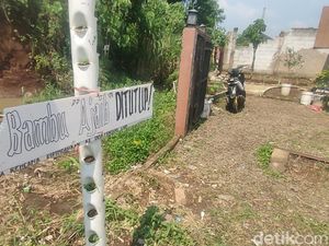 Cianjur Sepekan: Bambu Ajaib yang Bikin Geger Cianjur Sepekan: Bambu Ajaib yang Bikin Geger