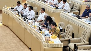 Mendagri Ungkap Evaluasi Pendapatan hingga Belanja di 4 DOB Papua