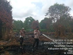 Polisi Respons Cepat Kebakaran 5 Ha Lahan di Inhil, Pelaku Ditangkap Polisi Respons Cepat Kebakaran 5 Ha Lahan di Inhil, Pelaku Ditangkap
