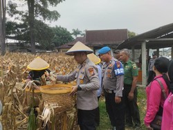 Panen Raya Jagung di Dumai, Wujudkan Swasembada Pangan dan Ekonomi Rakyat