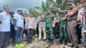 311 Ha Kebun Sawit di TNTN Diserahkan ke Satgas PKH