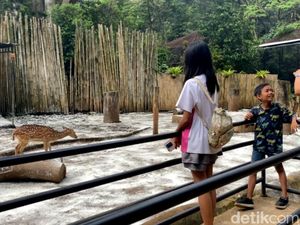 Wisatawan Boleh Botram Lagi di Bandung Zoo, Asal Jaga Kebersihan Wisatawan Boleh Botram Lagi di Bandung Zoo, Asal Jaga Kebersihan