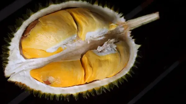10 Durian Legit Asal Thailand yang Diburu Penggemarnya