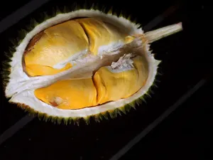 10 Durian Legit Asal Thailand yang Diburu Penggemarnya 10 Durian Legit Asal Thailand yang Diburu Penggemarnya