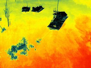 Penambang Timah Hilang Diterkam Buaya Muara di Bangka, Tim SAR Diturunkan Penambang Timah Hilang Diterkam Buaya Muara di Bangka, Tim SAR Diturunkan