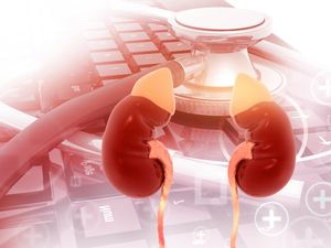 Nasib Tragis Bocah Harus Transplantasi Ginjal gegara Dihukum Squat 1.000 Kali Nasib Tragis Bocah Harus Transplantasi Ginjal gegara Dihukum Squat 1.000 Kali