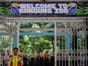 Bandung Zoo Ditutup gegara Konflik, Kemenhut Diminta Kaji Izin Pengelolaan Bandung Zoo Ditutup gegara Konflik, Kemenhut Diminta Kaji Izin Pengelolaan