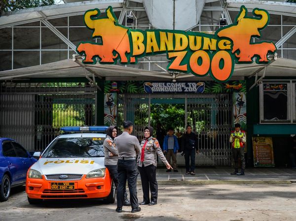 Konflik Memanas, Kebun Binatang Bandung Tutup Sementara