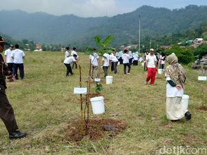 7 Ha Lahan Kosong PLTU Suralaya Cilegon Ditanami Pohon Biomassa 7 Ha Lahan Kosong PLTU Suralaya Cilegon Ditanami Pohon Biomassa