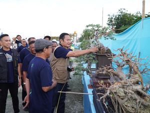 Pameran Bonsai Dukung Ekonomi Kreatif di Lamongan Pameran Bonsai Dukung Ekonomi Kreatif di Lamongan