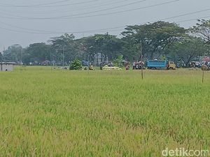 Panen Perdana, Petani Magetan Sumringah Harga Gabah Tembus Rp 7.200/Kg Panen Perdana, Petani Magetan Sumringah Harga Gabah Tembus Rp 7.200/Kg