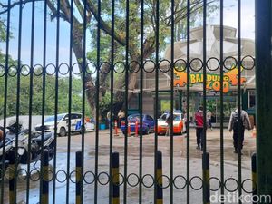 Kisruh Internal di Balik Penutupan Mendadak Bandung Zoo-Matinya 7 Satwa Kisruh Internal di Balik Penutupan Mendadak Bandung Zoo-Matinya 7 Satwa