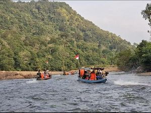 Tentang Listrik yang Tak Kunjung Menerangi Desa Pedalaman di Kampar Riau Tentang Listrik yang Tak Kunjung Menerangi Desa Pedalaman di Kampar Riau