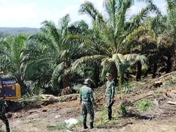 Penjaga Rumah Domang Si Gajah Tesso Nilo Ditambah