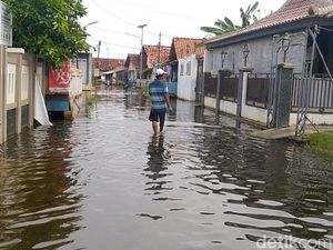 Bandengan Pekalongan 2 Bulan Terendam Rob, Ini Biang Keroknya