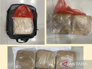 2 Pria Bawa 9 Kg Ganja Dibekuk di Jaktim