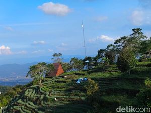 Usir Penat di Ketinggian, Ini 4 Tempat Ngopi Santai di Kuningan Usir Penat di Ketinggian, Ini 4 Tempat Ngopi Santai di Kuningan