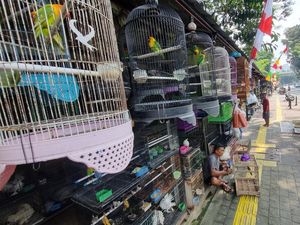 Pedagang Burung Barito Jaksel Harap Tak Direlokasi ke Lenteng Agung Pedagang Burung Barito Jaksel Harap Tak Direlokasi ke Lenteng Agung